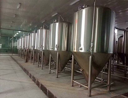 1000L上內開橢圓人孔發酵罐