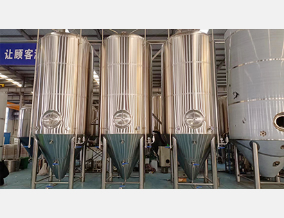 6000L內開橢圓側人孔發酵罐